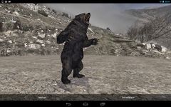 Pocket Bear 3D ekran görüntüsü APK 1