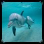 Delfines Fondo Animado APK