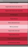 Imagen 2 de Electrocardiograma ECG Tipos