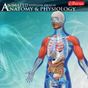 Anatomy & Physiology-Animated