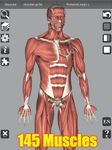 Скриншот 14 APK-версии 3D Bones and Organs (Anatomy)