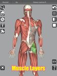 Скриншот 7 APK-версии 3D Bones and Organs (Anatomy)