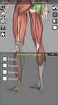 Скриншот 6 APK-версии 3D Bones and Organs (Anatomy)