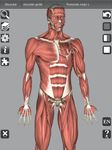 Скриншот 10 APK-версии 3D Bones and Organs (Anatomy)