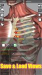 Скриншот 2 APK-версии 3D Bones and Organs (Anatomy)