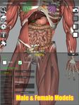 Скриншот 2 APK-версии 3D Bones and Organs (Anatomy)