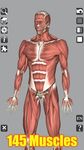 Скриншот 22 APK-версии 3D Bones and Organs (Anatomy)