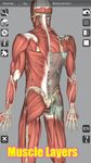 Скриншот 16 APK-версии 3D Bones and Organs (Anatomy)