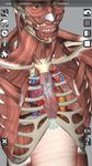 Скриншот 11 APK-версии 3D Bones and Organs (Anatomy)