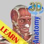 3D Bones and Organs (Anatomy) 아이콘