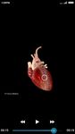 Captura de tela do apk Cardiology-Animated Dictionary 11