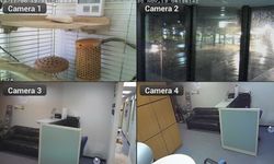 Cam Viewer for D-Link cameras Bild 2