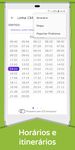 Public Bus Timetable Campinas screenshot apk 