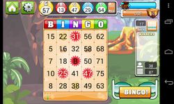 Картинка 1 Bingo Casino