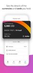 Payoneer zrzut z ekranu apk 2