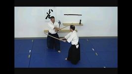Aikido Weapons - ALL screenshot apk 