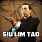 Ícone do Wing Chun Kung Fu: SLT