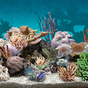 Ikon 3D Aquarium Live Wallpaper