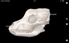 Dog Anatomy: Canine 3D screenshot apk 6
