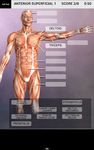 Muscle and Bone Anatomy 3D screenshot apk 5