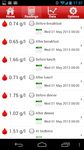 私の血糖症 のスクリーンショットapk 5