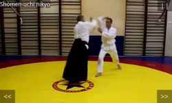 Aikido Test 4 kyu screenshot apk 3