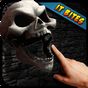 Иконка Skull Live Wallpaper 3D