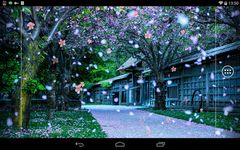 Sakura Live Wallpaper imgesi 
