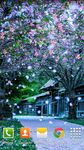Sakura Live Wallpaper imgesi 6