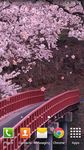 Sakura Live Wallpaper imgesi 2