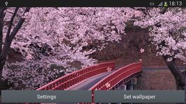 Sakura Live Wallpaper imgesi 5