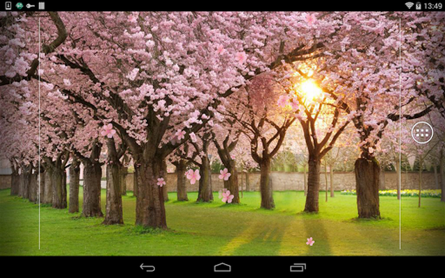 Sakura Live Wallpaper APK - Free download app for Android