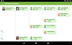 Скриншот  APK-версии FamilyGTG - Family Tree