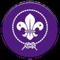 SCOUTS apk icono