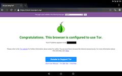 Orxify: Tor VPN screenshot apk 3