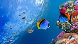 Screenshot 2 di Pesce oceanico Sfondo Animato apk