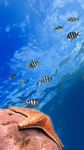 Screenshot 9 di Pesce oceanico Sfondo Animato apk