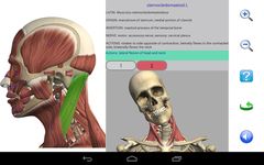 Visual Anatomy zrzut z ekranu apk 14