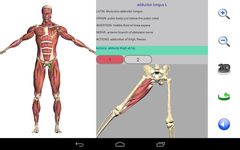 Visual Anatomy zrzut z ekranu apk 13