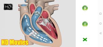 Captura de tela do apk Visual Anatomy 11