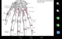 Captura de tela do apk Visual Anatomy 6