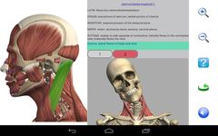 Captura de tela do apk Visual Anatomy 7