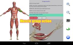 Скриншот 5 APK-версии Visual Anatomy