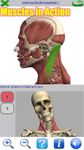 Visual Anatomy Screenshot APK 23