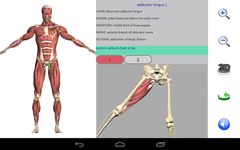 Tangkapan layar apk Visual Anatomy 4