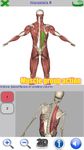 Visual Anatomy ảnh màn hình apk 22