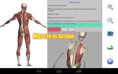 Screenshot 15 di Visual Anatomy apk