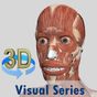 Ícone do apk Visual Muscles 3D