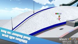 Sochi Ski Jumping 3D Sport VIP Screenshot APK 13