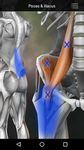 Puntos Musculares Anatomia captura de pantalla apk 12